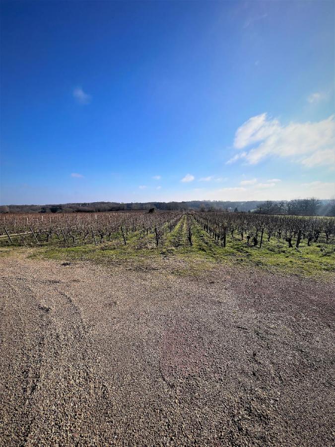 Balade En Foret, 3min Du Zoo Saint-Aignan (Loir-et-Cher)